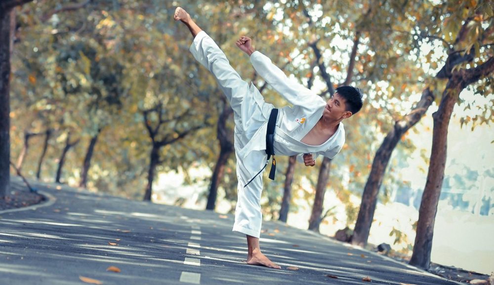 Karate 1 Karate Kicks