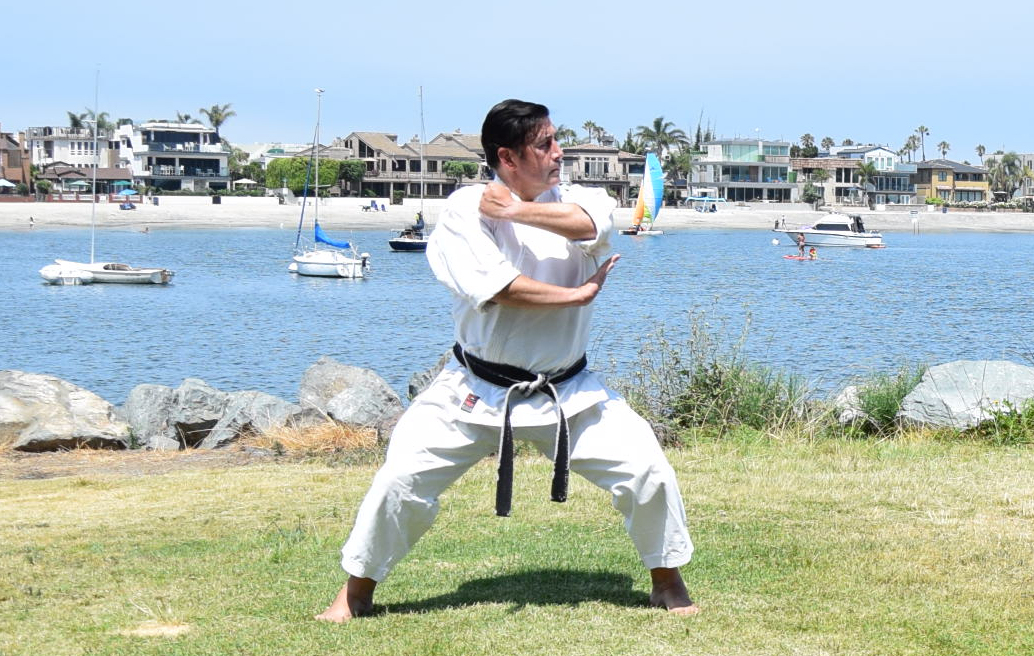 Side Elbow Strike on a Kiba Dachi