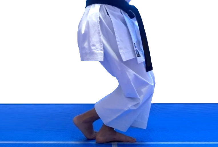 Kosa Dachi in Karate 1 Kosa Dachi in Karate Side View