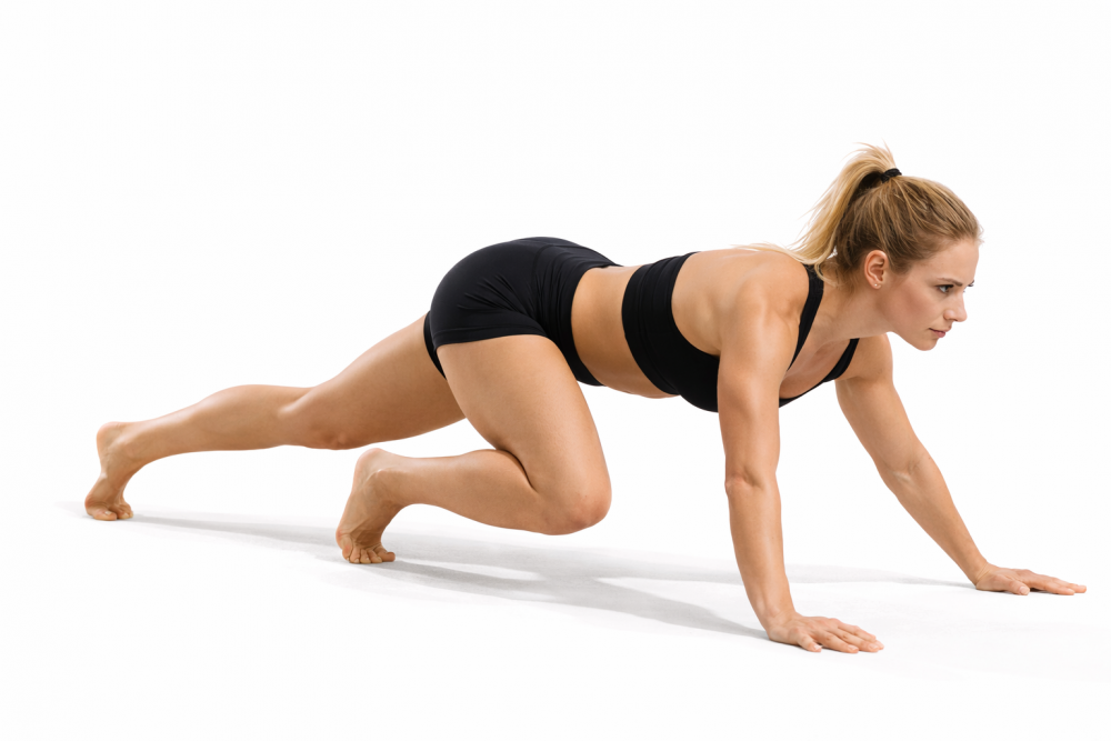 Alligator Walks Pro Tips for Best Results